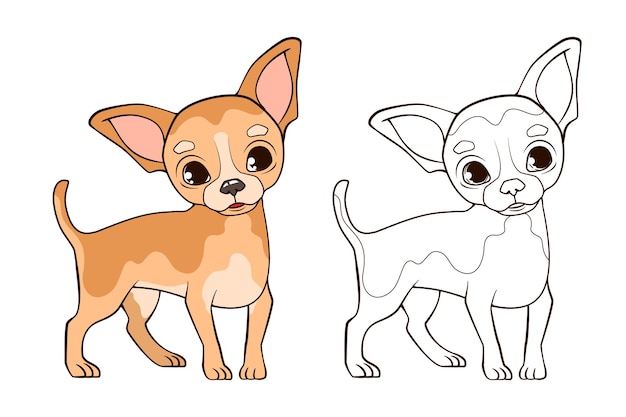 Libro Para Colorear Peque O Perro Chihuahua Divertido Con Orejas Grandes Se Para En Patas