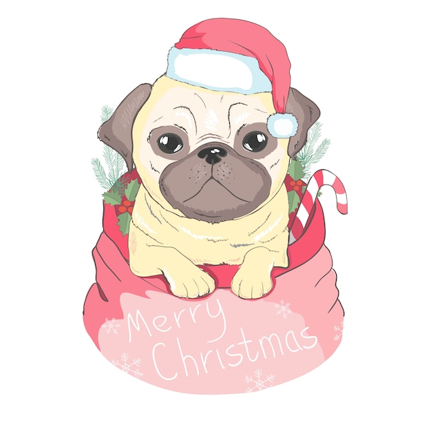 Lindo Cachorro En Un Sombrero De Santa Claus Y Bufanda Ilustraci N