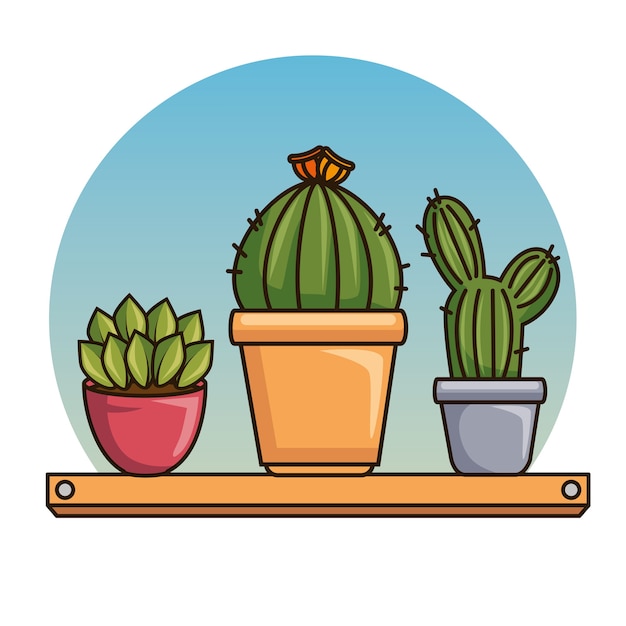 Lindo Cactus Kawaii Y Dibujos Animados Suculentos Vector Premium