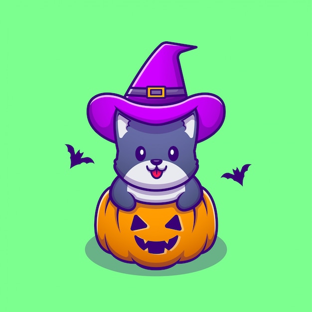 Lindo Gato Bruja Con Calabaza Halloween Icono De Dibujos Animados