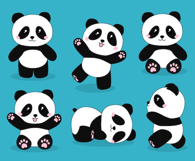 Lindo Oso Panda Vector Premium