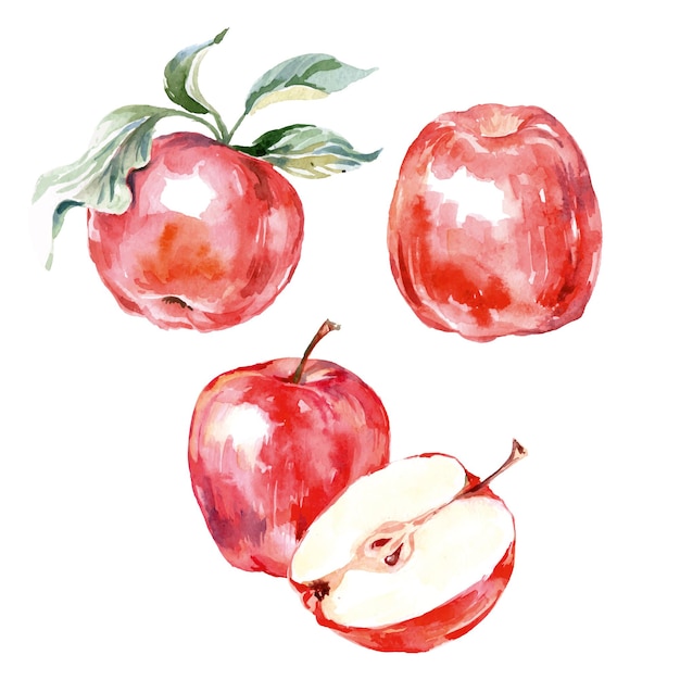 Manzanas de acuarela ilustración vectorial Vector Premium