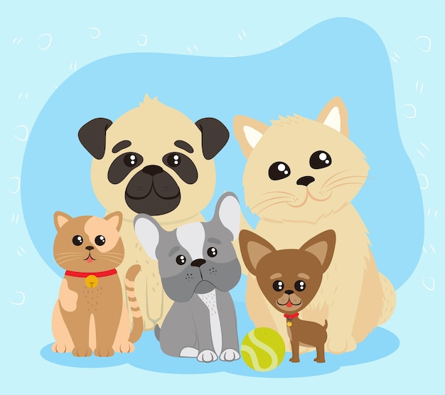 Mascotas Perros Y Gatos Vector Premium