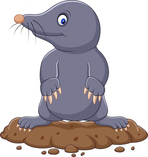 Mole Lindo De Dibujos Animados Vector Premium