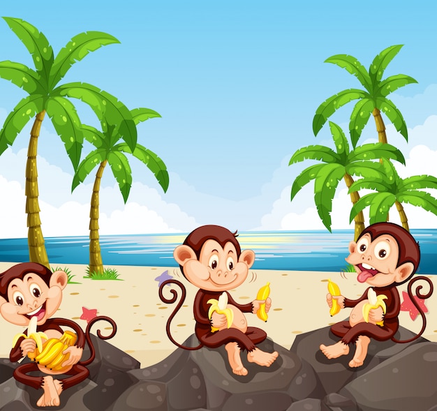 Mono comiendo plátano en la playa | Vector Premium