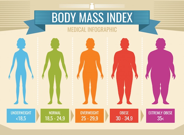 Mujer índice De Masa Corporal Vector Infografía Médica índice De Masa