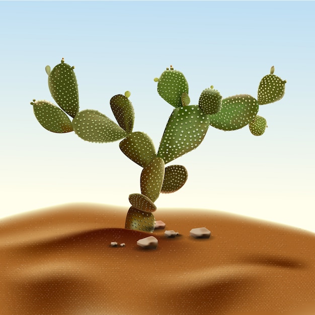 Nopal realista nopal. opuntia planta de desierto entre ...