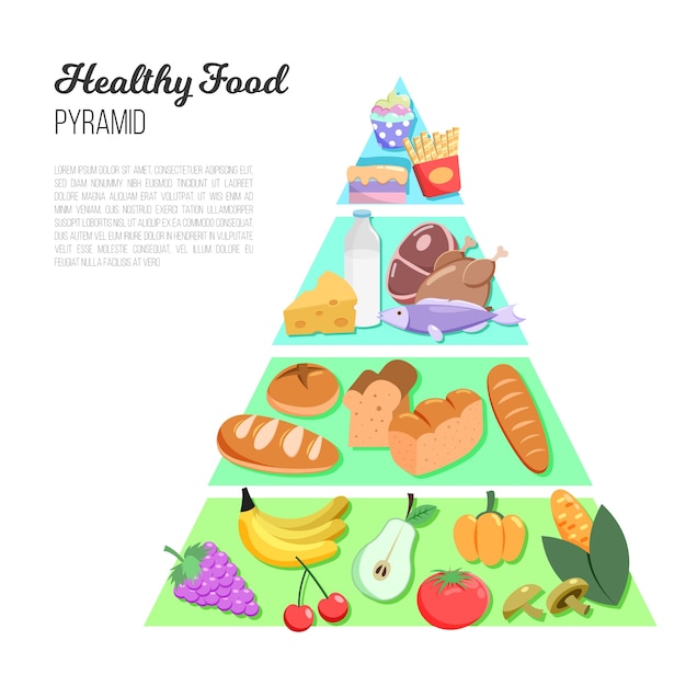 Nutricion De La Piramide Alimenticia Free Vector Freepik Freevector Images The Best Porn