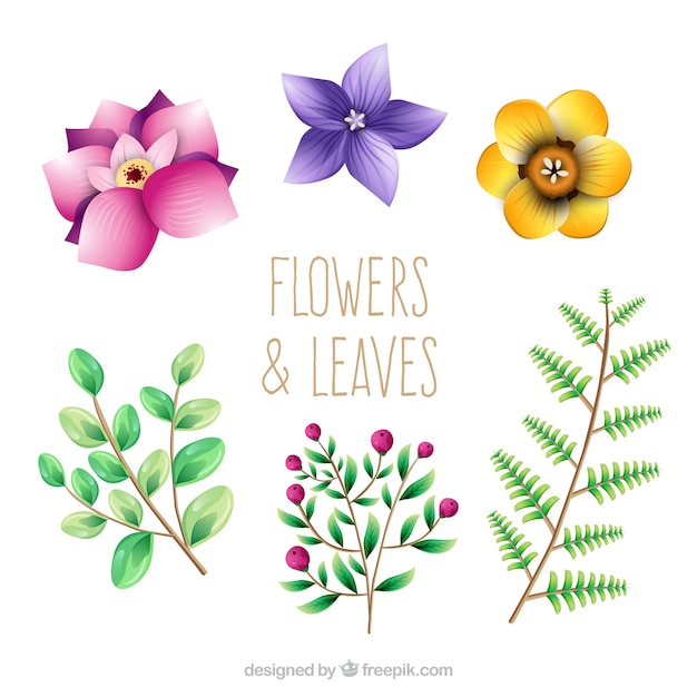 Download Pack de bonitas flores y hojas | Descargar Vectores gratis