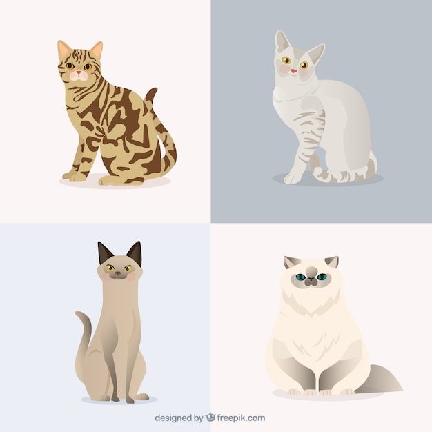 Download Pack de mascotas de gatos | Descargar Vectores gratis