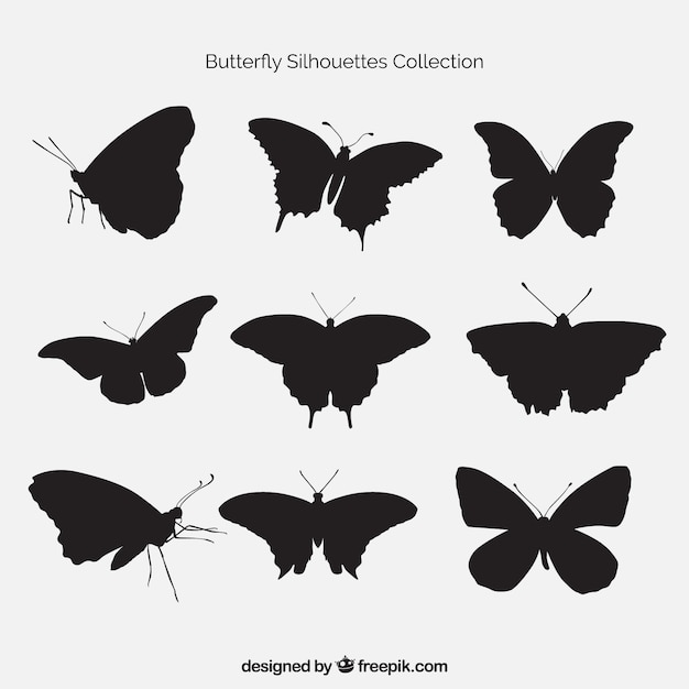 Pack de siluetas de mariposas | Descargar Vectores gratis