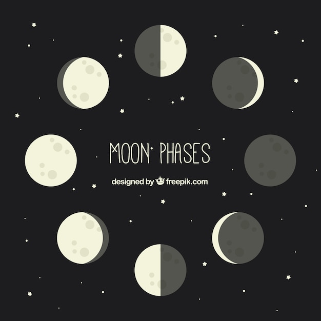 Pack De Fases Lunares En Dise O Plano Vector Gratis