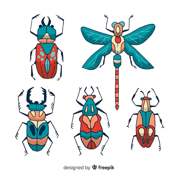 Pack Insectos Coloridos Dibujados A Mano Vector Gratis