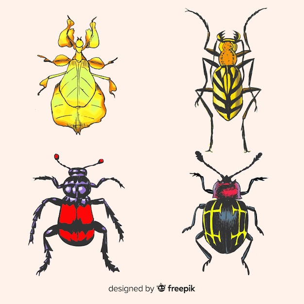 Pack Insectos Realistas Dibujados A Mano Vector Gratis