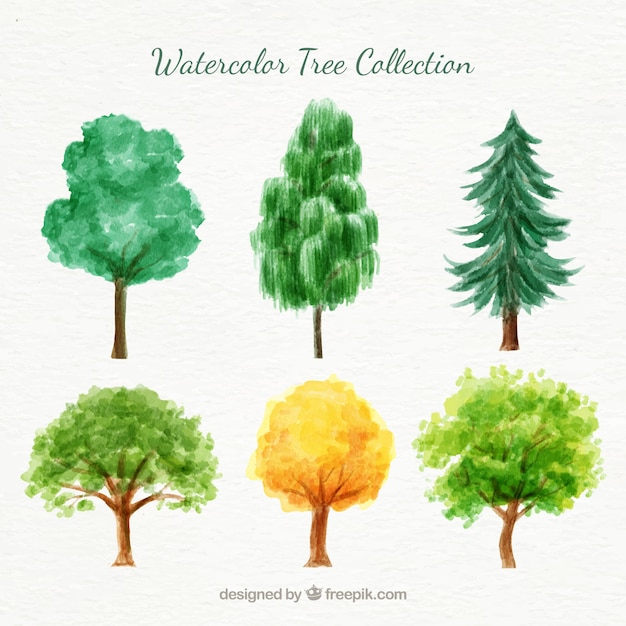 Arbol De Acuarela Png Vectores Psd E Clipart Para Descarga Gratuita