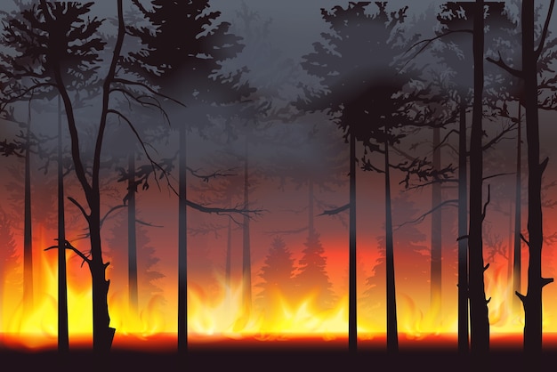 Paisaje De Desastre De Incendio Forestal De Incendios Forestales Silueta Realista Vector Premium