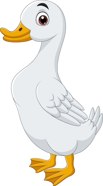 Pato de dibujos animados aislado | Vector Premium