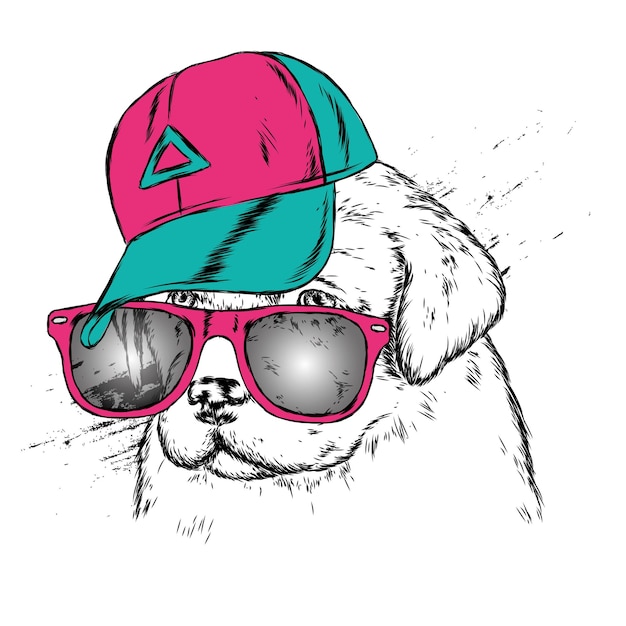 Perro con gorra y gafas | Vector Premium