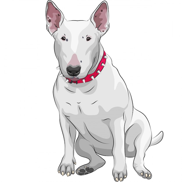 Perro De Raza Bull Terrier De Dibujos Animados Sentado | Vector Premium