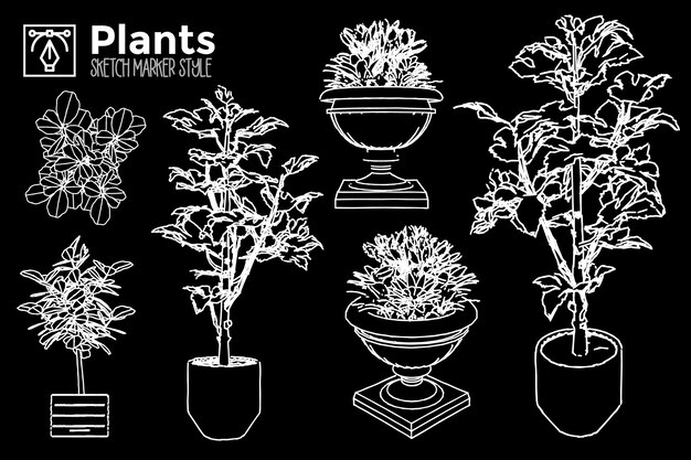 Plantas Dibujadas A Mano Conjunto De Vistas De Plantas Aisladas Vector Premium