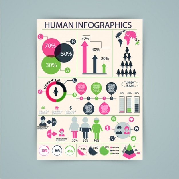 Plantilla De Infografía Completa Con Colores Intensos | Vector Premium