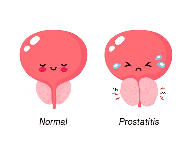 trabajo de próstata para el cuerpo humano trabajo de próstata para el cuerpo humano