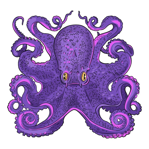 Pulpo Dibujo Realista