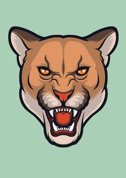Puma cara enojada, puma concolor | Vector Premium