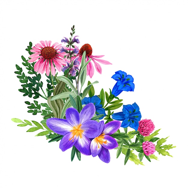 Download Ramo de flores silvestres de campo púrpura, dibujado a ...