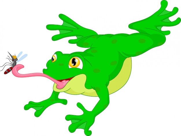 Rana verde atrapando un dibujo animado de mosquitos | Vector ...