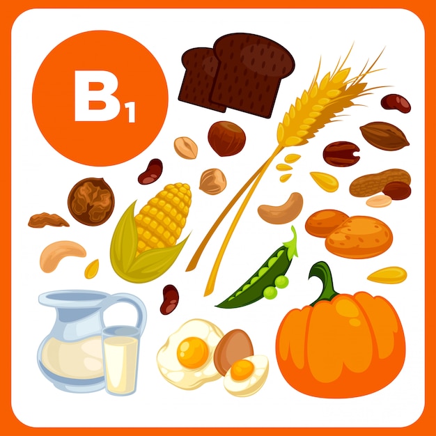 Recogida De Alimentos Con Vitamina B1. | Vector Premium