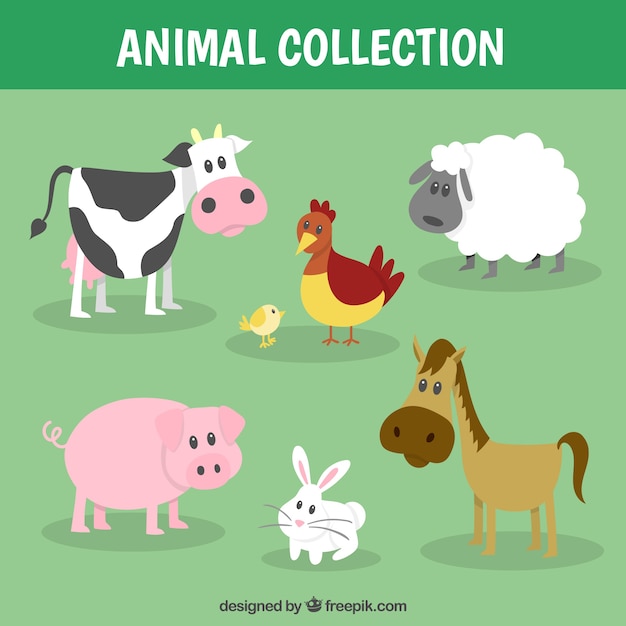 recogida de animales de granja divertida_23 2147540772