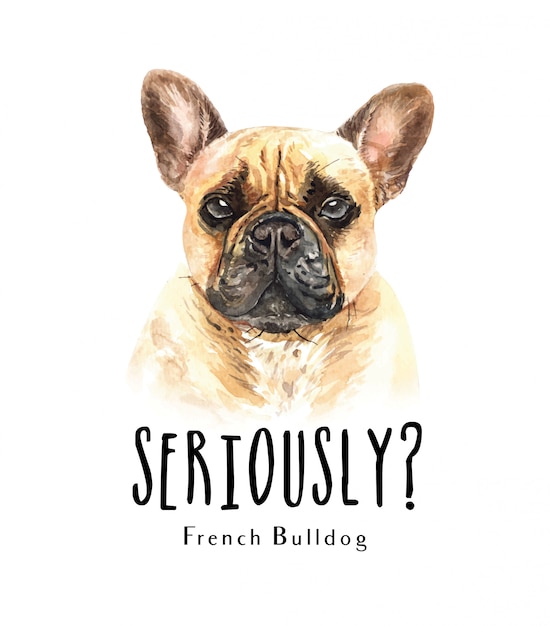 Retrato de bulldog francés para impresión Vector Premium