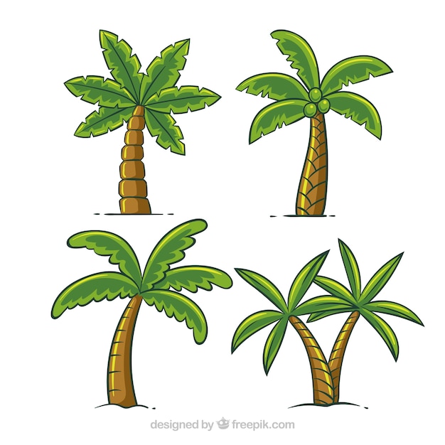 Set De Palmeras Dibujadas A Mano Vector Gratis