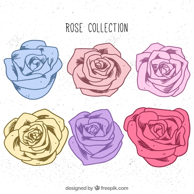 Featured image of post Rosas Animadas De Colores Lindas rosas para colorir e imprimir