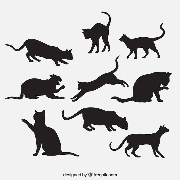 14 Gato Vector Silueta Png