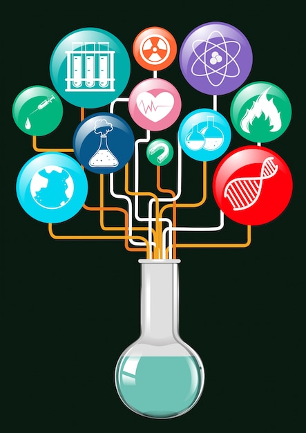 Establecidode acuerdo a una ciencia cognitiva