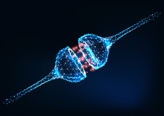 Sinapsis neural, señales eléctricas y químicas entre dos neuronas, sistema nervioso humano. Vector Premium
