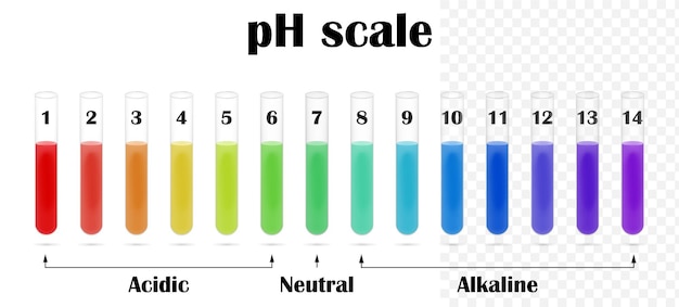 La tabla de escala de valores de ph para soluciones ácidas y alcalinas