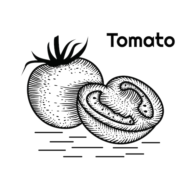 Tomate Dibujado A Mano Vector Premium 8547