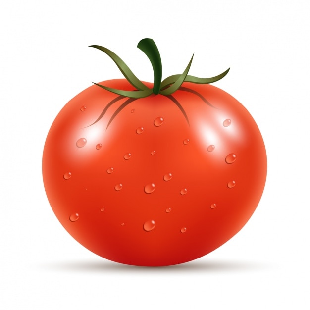 Tomate Natural Vector Gratis