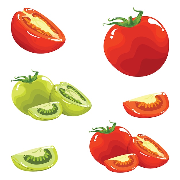 Tomate Rojo Y Verde Realista Vector Premium