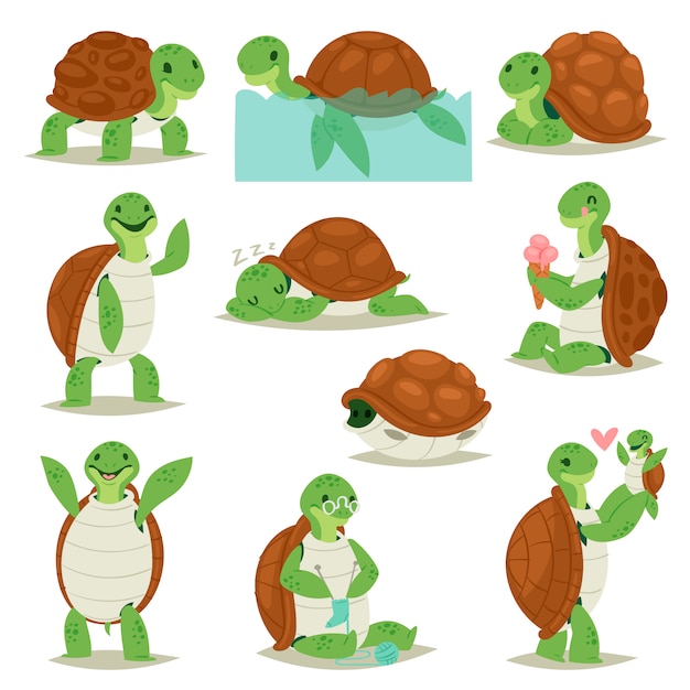 Featured image of post Dibujo Caparazon De Tortuga Para Colorear