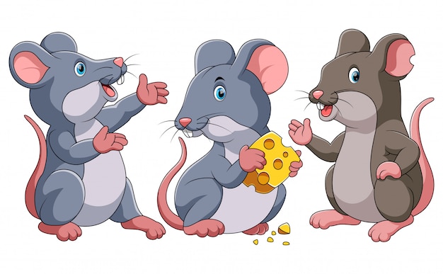 Tres dibujos animados lindo del ratón | Vector Premium