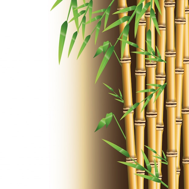 Tronco De Bambu Con Hojas Icono Decoracion De Plantas De La Naturaleza Vector Premium