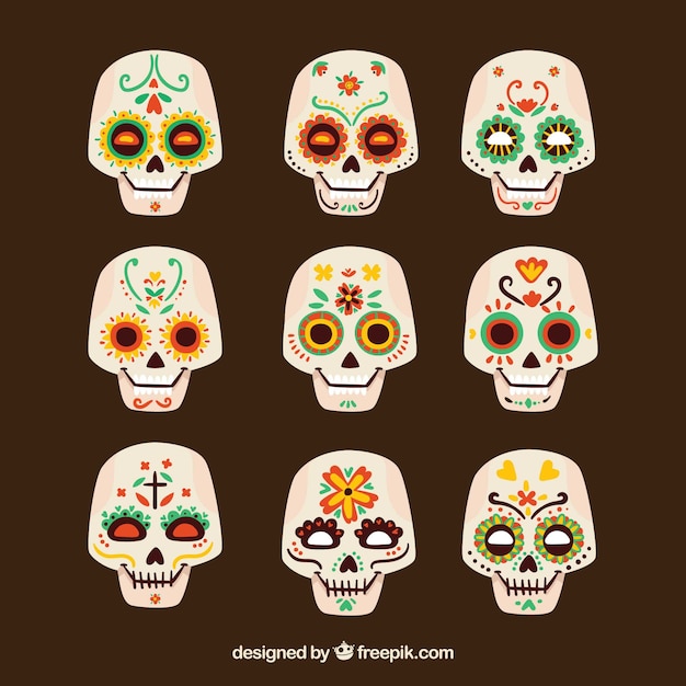 Varias calaveras con elementos decorativos de colores | Descargar ...