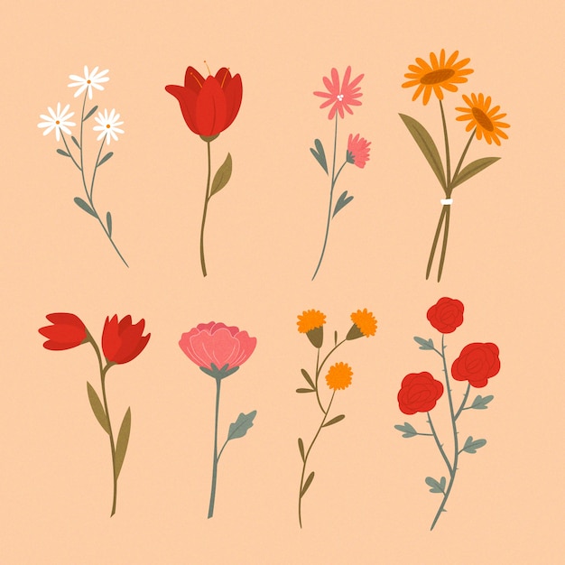 Varias Flores Con Hojas Colección Dibujada A Mano Vector Gratis 7193