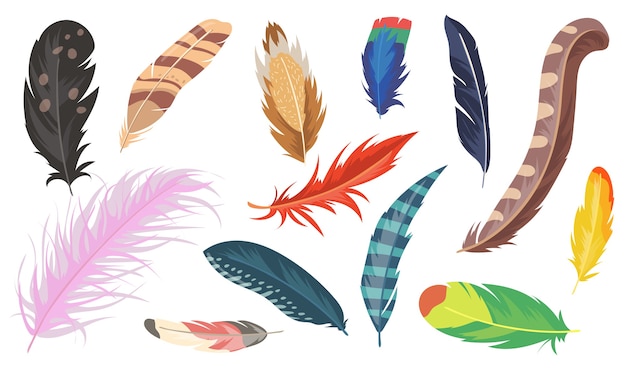 Variedad De Conjunto De Elementos Planos De Plumas De Colores Dibujos Animados De Avestruz Brillante Faisan Y Loro Coleccion De Ilustraciones Vectoriales Aisladas Concepto De Decoracion Y Plumas De Aves Vector