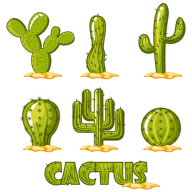 Vector De Colecci N De Cactus Vector Premium