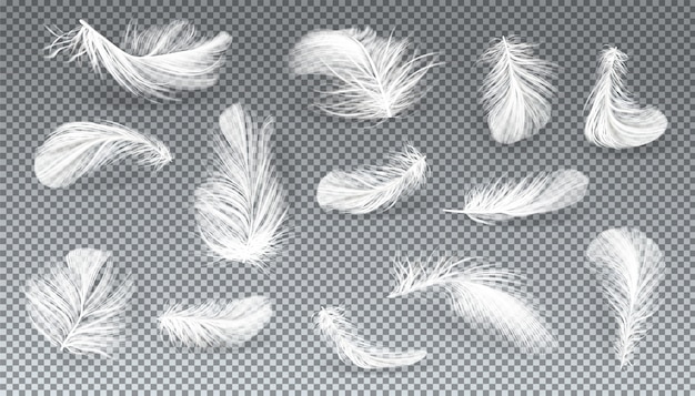 Vector conjunto realista 3d de aves blancas o plumas de ángel en varias formas vector gratuito